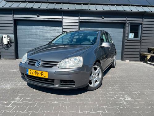 Volkswagen Golf 2.0 FSI 110KW 5D 2004 Grijs, Auto's, Volkswagen, Particulier, Golf, ABS, Airbags, Airconditioning, Android Auto