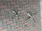 Klap ankers aangeboden, Watersport en Boten, Ophalen of Verzenden, Gebruikt, Ankeren en Afmeren, Zeilboot of Motorboot