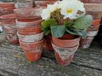 Terracotta potjes bloempot oude kwekerij set12st 9-9H Miekje, Tuin en Terras, Bloempotten, Terracotta, Ophalen of Verzenden, Zo goed als nieuw