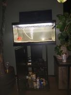 54 liter aqarium, Dieren en Toebehoren, Vissen | Aquaria en Toebehoren, Ophalen, Zo goed als nieuw, Leeg aquarium