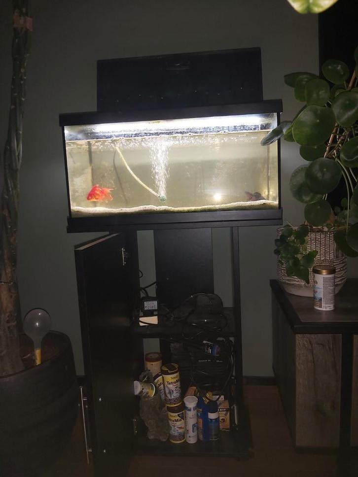 54 liter aqarium, Dieren en Toebehoren, Vissen | Aquaria en Toebehoren, Zo goed als nieuw, Leeg aquarium, Ophalen