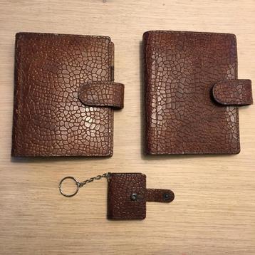 Succes Agenda leer voor junior beschikbaar voor biedingen