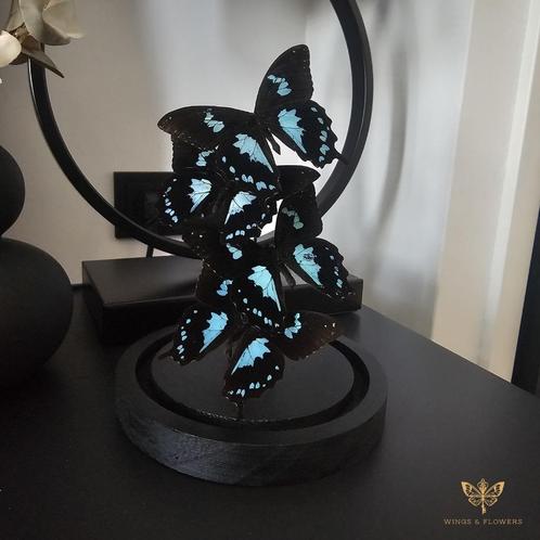 Vlinderstolp/Vlinders in stolp, Huis en Inrichting, Woonaccessoires | Stolpen, Nieuw, Ophalen of Verzenden