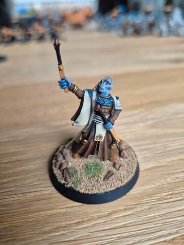 Warhammer 40K - Tau Empire units beschikbaar voor biedingen