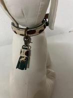 Dwam ivy xs, Dieren en Toebehoren, Ophalen, Dwam, ?, Nieuw