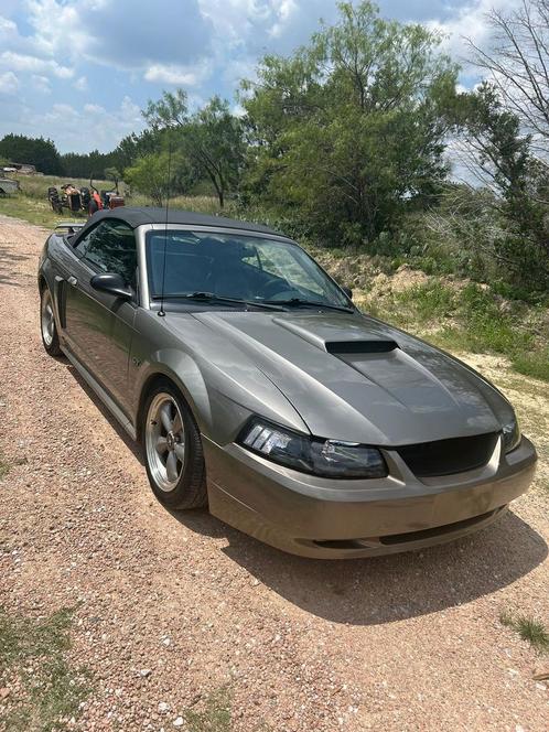 Waanzinnig mooie Ford Mustang Premium GT HANDGESCHAKELD!, Auto's, Ford Usa, Bedrijf, Mustang, ABS, Airbags, Airconditioning, Alarm