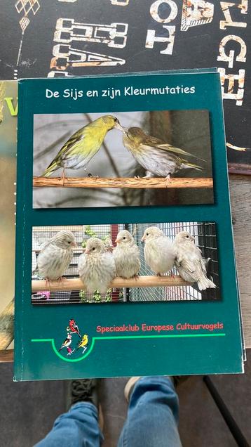 De sijs en zijn kleurmutaties beschikbaar voor biedingen