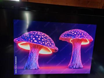 TV SONY BRAVIA KDL32V4240 SIZE 31 INCH OF 80 CM beschikbaar voor biedingen