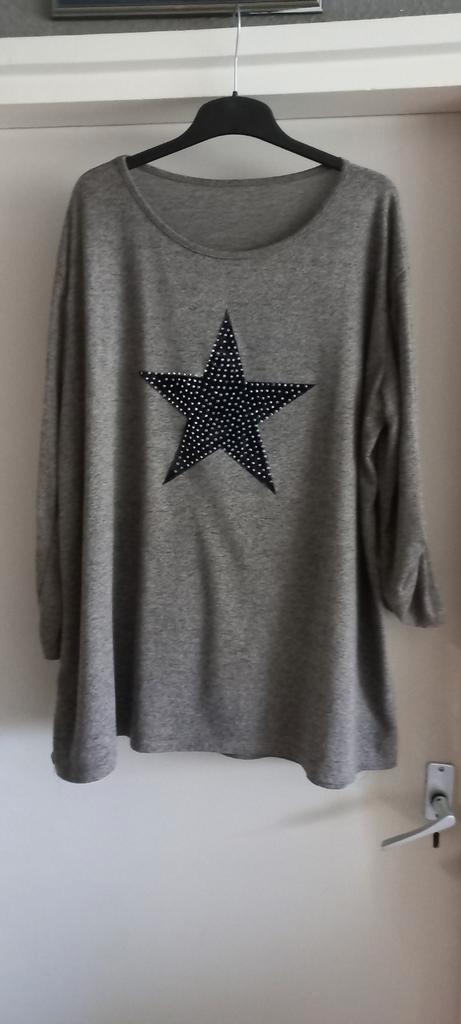 Grijze trui met ster - Maat XL, Kleding | Dames, T-shirts, Zo goed als nieuw, Maat 46/48 (XL) of groter, Grijs, Lange mouw, Ophalen of Verzenden