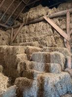 Mooi hooi. Bezorging mogelijk., Ophalen of Verzenden, Vee