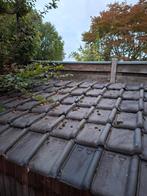 220 Gebruikte Tuile du Nord Dakpannen, Gebruikt, Steen of Klei, Ophalen of Verzenden, Minder dan 5 m²