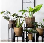 Zwarte plantenstandaard hoogte 75 cm, Huis en Inrichting, Nieuw, Ophalen of Verzenden