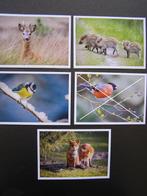 Natuurkaarten: Pieter van Vollenhoven, Fonds Slachtofferhulp, 1980 tot heden, Foto, Nieuw, Ophalen of Verzenden