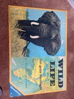 Wild Life - Het Grote Dierenspel, Hobby en Vrije tijd, Gezelschapsspellen | Bordspellen, Ophalen, Gebruikt, Reisspel