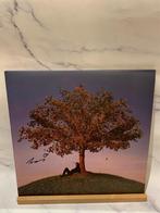 Slowthai - TYRON (Gesigneerd) Vinyl LP, Cd's en Dvd's, Vinyl | Overige Vinyl, Ophalen of Verzenden, Zo goed als nieuw, 12 inch