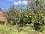 Houten driepoot ladder, Doe-het-zelf en Verbouw, Ophalen, Gebruikt, Ladder, 2 tot 4 meter