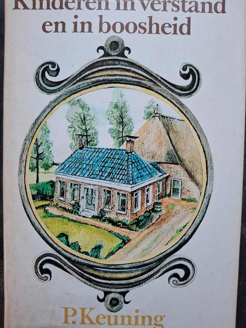 P. Keuning Kinderen in verstand en in boosheid Gronings, Boeken, Streekboeken en Streekromans, Gelezen, Groningen, Ophalen of Verzenden