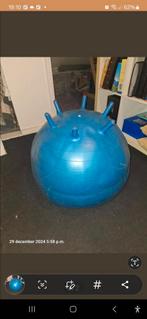 Fitnessbal Gymnic Sit'n'Gym, Ophalen of Verzenden, Gebruikt, Buik, Fitnessbal