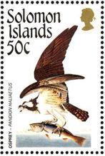 SALOMONEILANDEN 7 - Dieren: vogels (visarend), Ophalen of Verzenden, Postfris, Dier of Natuur