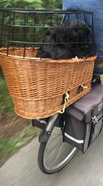 Te koop zgan hondenmand op de fiets, Ophalen of Verzenden, Zo goed als nieuw