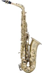 Chateau CAS50 Powerbell altsax. Nieuw, met Selmer mondstuk, Muziek en Instrumenten, Ophalen of Verzenden, Nieuw, Alt