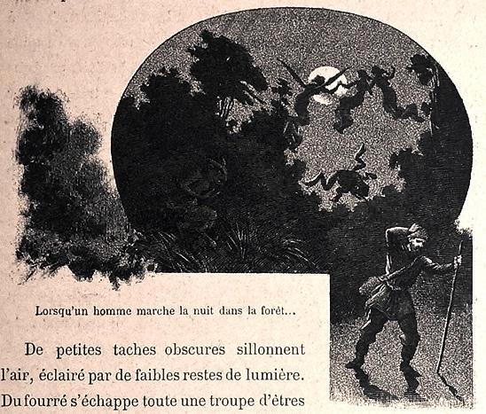 Bogdanoff [c.1880] Les Steppes et les Halliers Rusland, Antiek en Kunst, Antiek | Boeken en Bijbels, Ophalen of Verzenden