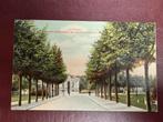 Oude ansichtkaart Zutphen - Martinetsingel, Ophalen of Verzenden, Voor 1920, Gelopen