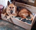 Grote hondenmand van steigerhout, Dieren en Toebehoren, Hondenmanden, Ophalen, Gebruikt, Overige