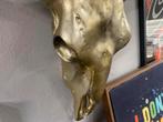 Longhorn skull polyresin 67x64 cm oud goud kleur, Nieuw, Ophalen
