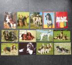 Vintage hondenkaarten ansichtkaarten honden 13 stuks, Verzamelen, Ansichtkaarten | Dieren, Ophalen of Verzenden, 1980 tot heden