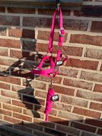 Shetlander/ veulen halsterset nieuw, Dieren en Toebehoren, Ophalen of Verzenden, Nieuw, Overige soorten