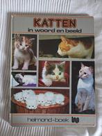 Katten in woord en beeld - Helmond-boek, Ophalen of Verzenden, Gelezen, Katten, Onbekend