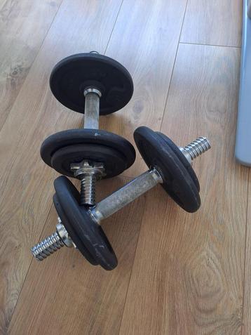 Gewichten (20 kg) beschikbaar voor biedingen
