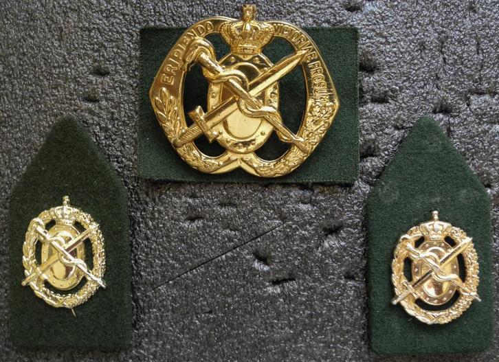 Setje Geneeskundige Dienst 9, Verzamelen, Militaria | Algemeen, Landmacht, Embleem of Badge, Nederland, Verzenden