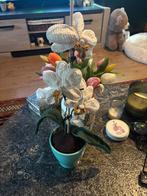 Gehaakte Orchidee, Verzenden, Nieuw, Haken, Overige typen
