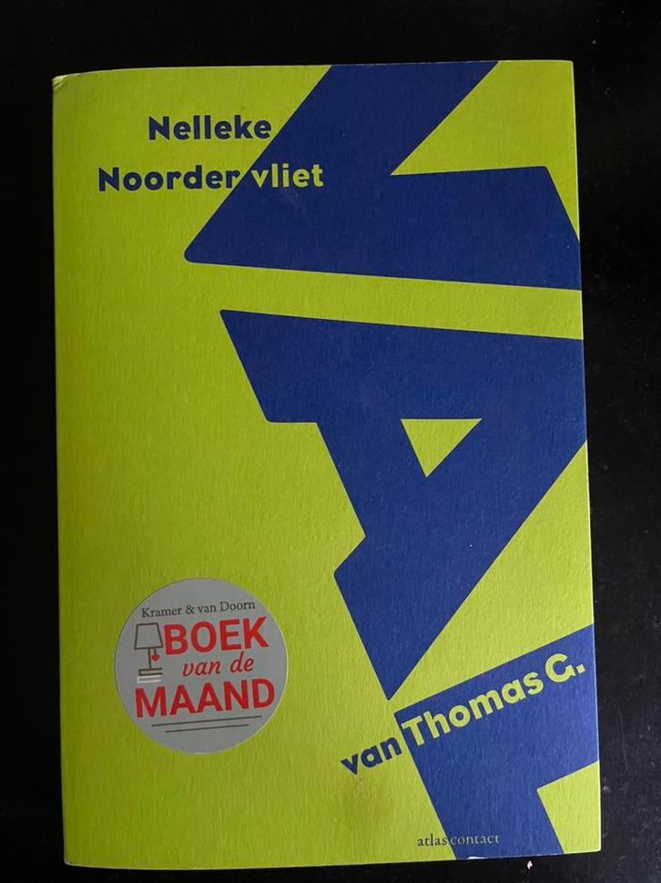 Nelleke Noordervliet - De val van Thomas G., Boeken, Literatuur, Zo goed als nieuw, Ophalen of Verzenden