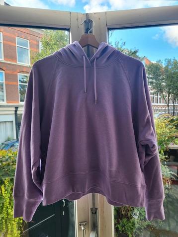 Trui - Uniqlo M/38/10 beschikbaar voor biedingen