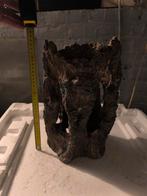 Aquarium decoratie, Ophalen, Plant(en), Steen of Hout