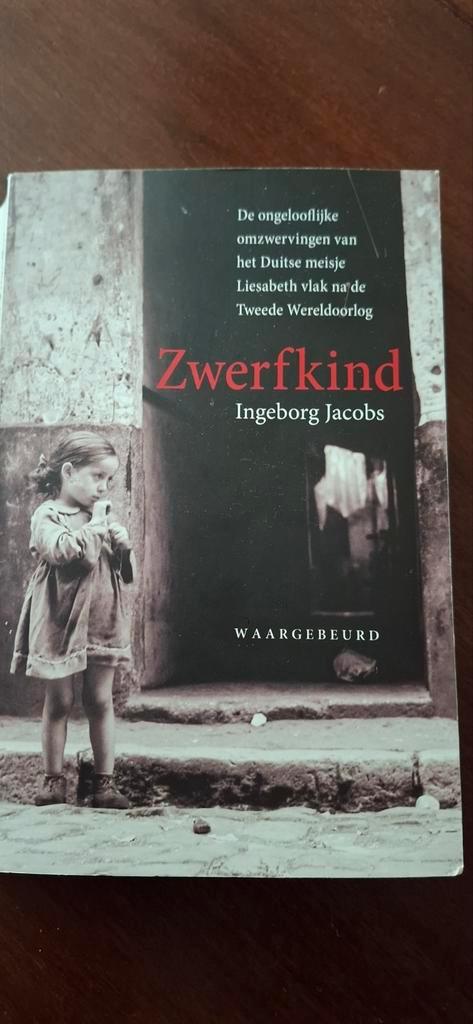 Ingeborg Jacobs - Zwerfkind, Boeken, Geschiedenis | Vaderland, Zo goed als nieuw, Ophalen of Verzenden