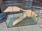 Glazen knaagdieren kooi, Dieren en Toebehoren, Kooi, Gebruikt, Ophalen, Minder dan 60 cm