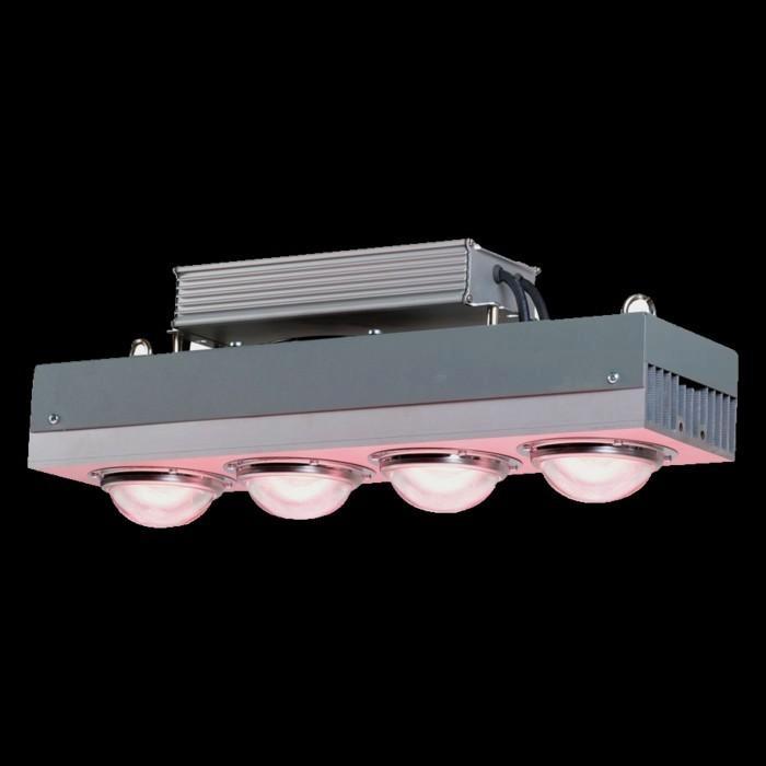 2 KG kweek knaller compleet, Tuin en Terras, Kweekspullen, Zo goed als nieuw, Kweeklamp, Ophalen of Verzenden