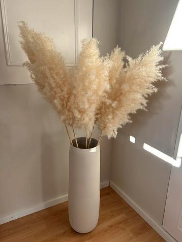 Vaas met pluimen