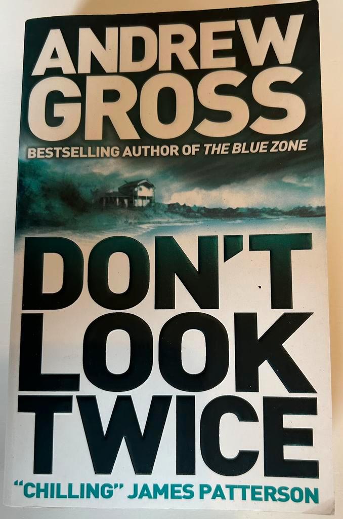Don'T Look Twice - Andrew Gross - English - thriller, Boeken, Taal | Engels, Zo goed als nieuw, Ophalen of Verzenden