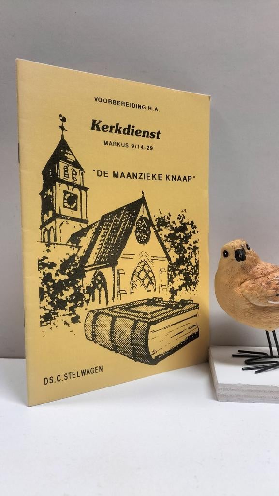 Stelwagen, Ds. C.; De maanzieke knaap, Ophalen of Verzenden, Gelezen, Christendom | Protestants