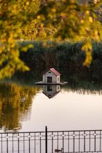 Affordable Photographer Groningen