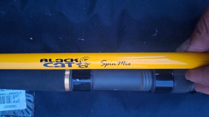 Black Cat meervalhengels, Watersport en Boten, Hengelsport | Roofvissen, Gebruikt, Werphengel, Ophalen