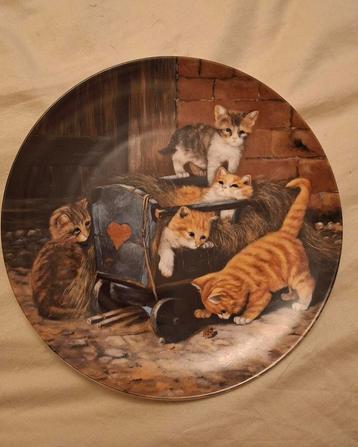 Seltmann Weiden Bord - Katten beschikbaar voor biedingen