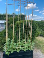 Planten bak op maat gemaakt voor een bonen haag, Nieuw, Rechthoekig, Hout, Tuin