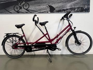 Staerk BE 14 RAL 4004 48cm Tandem 2024 beschikbaar voor biedingen