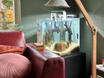 Aquarium inclusief vissen en toebehoren, Ophalen, Gebruikt, Gevuld zoetwateraquarium